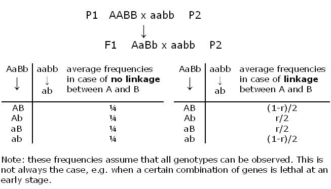 table yes no linkage.jpg